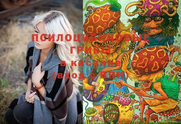 гидра Белокуриха