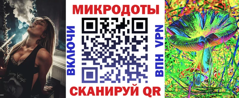 купить наркотики сайты  Городище  Галлюциногенные грибы мицелий 